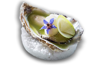 info advice Cocollos producer oysters Marennes oleron and oysters from Ireland