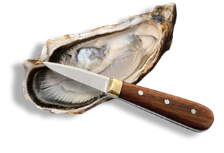 info conseils Cocollos producteur huitres Marennes oleron et huîtres d'Irlande