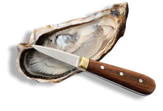 info advice Cocollos producer oysters Marennes oleron and oysters from Ireland