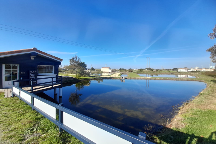 Il negozio Cocollos a Bourcefranc-le-Chapus | Selezione di prodotti regionali e artigianali