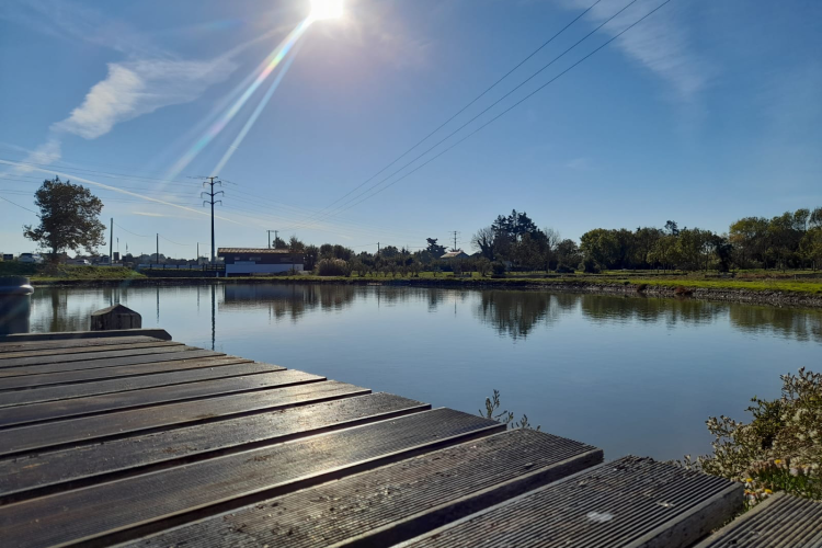 Il negozio Cocollos a Bourcefranc-le-Chapus | Selezione di prodotti regionali e artigianali
