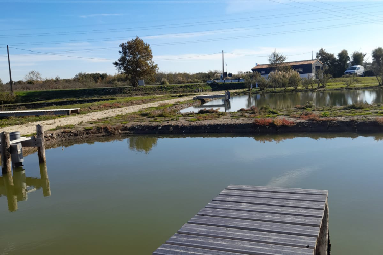 Il negozio Cocollos a Bourcefranc-le-Chapus | Selezione di prodotti regionali e artigianali