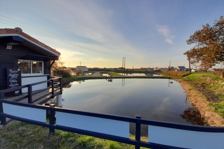 Il negozio Cocollos a Bourcefranc-le-Chapus | Selezione di prodotti regionali e artigianali