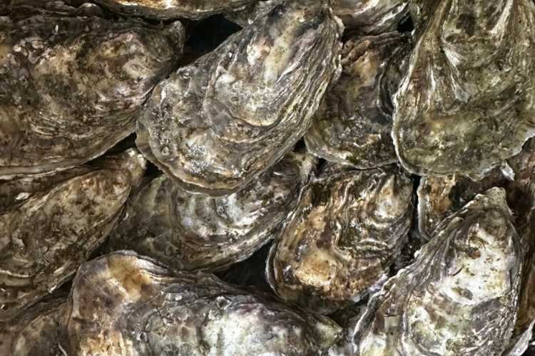 The Cocollos shop in Cognac | Selection of regional and artisanal products