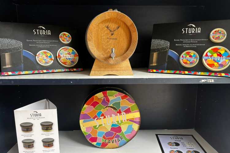 The Cocollos shop in Cognac | Selection of regional and artisanal products