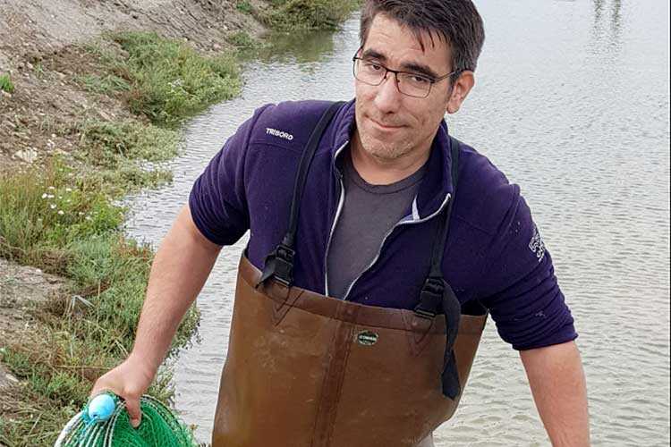les huîtres Cocollos production et élevage d''huîtres Marennes-Oléron et Spéciales et Plates d'Irlande
