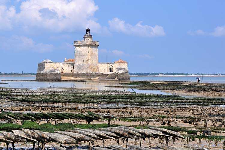 les huîtres Cocollos production et élevage d''huîtres Marennes-Oléron et Spéciales et Plates d'Irlande