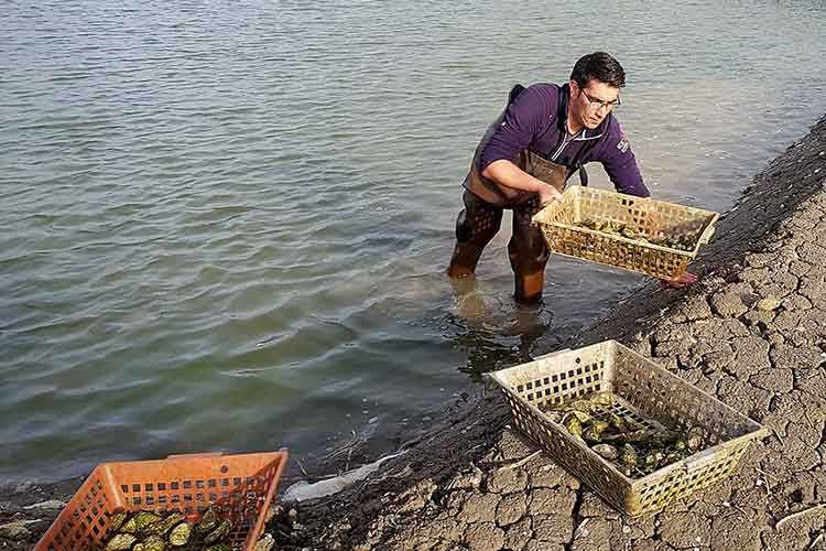Les Huîtres Cocollos, c’est aussi une affaire de famille et chacun y participe